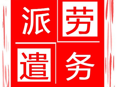 劳务派遣信息管理系统怎么连接海南派遣系统图2