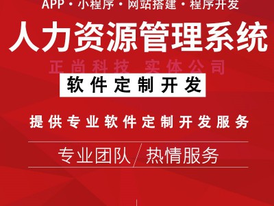 海南劳务系统劳务派遣管理系统图2